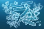 enterobacteriaceae-gram-negative-rod-shaped-bacteria-part-intestinal-microbiome-causative-agents-different-infections-3d-rendering-escherichia-coli-klebsiella-enterobacter-other_376245-342